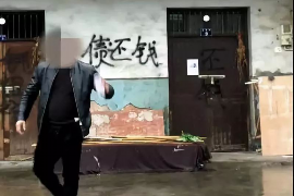 淮滨贷款清欠服务